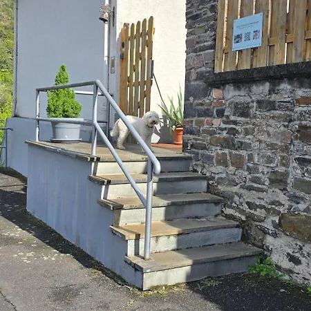 Haus Moselblick 아파트 Hatzenport